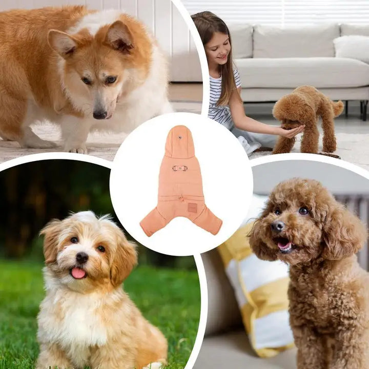 Casaco impermeável com capuz para cães, elegante e protegido