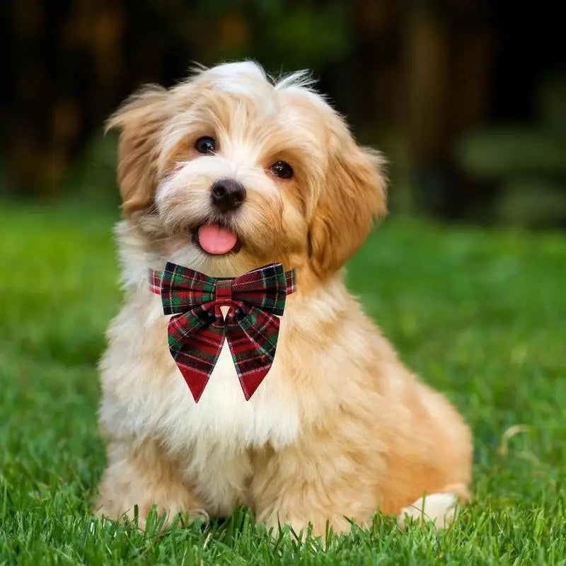 Coleira de gravata borboleta para cachorro – elegância chique do dia a dia