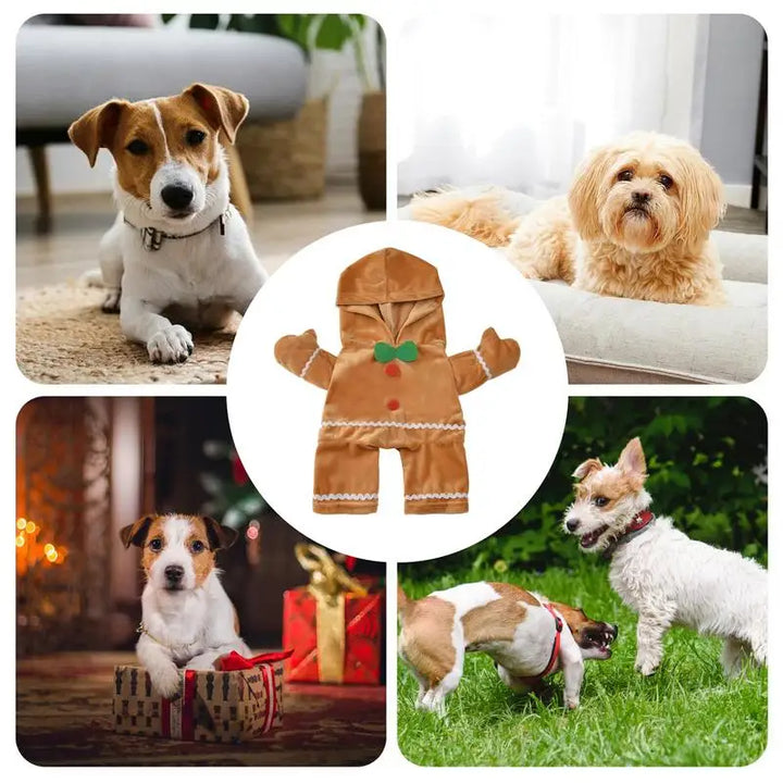 Fantasia de cachorro de gengibre: risos, doçura, memórias
