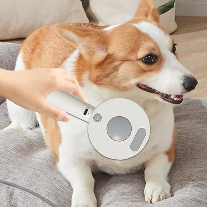 Escova a vapor para cães e gatos: a arte da limpeza transformada em ternura
