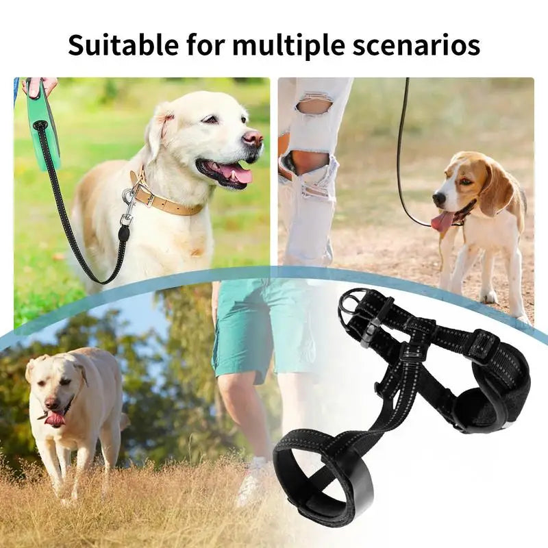Focinheira refletiva para cães: segurança noturna e conforto absoluto