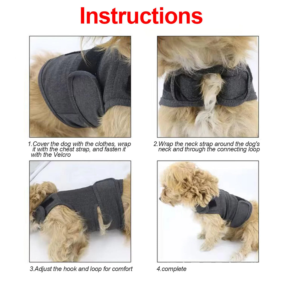 Um abraço contínuo para cães ansiosos ou estressados