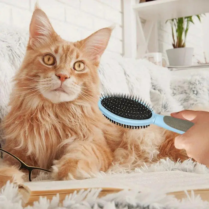 Escova para tosa de cães e gatos: maciez, cumplicidade e sem embaraços