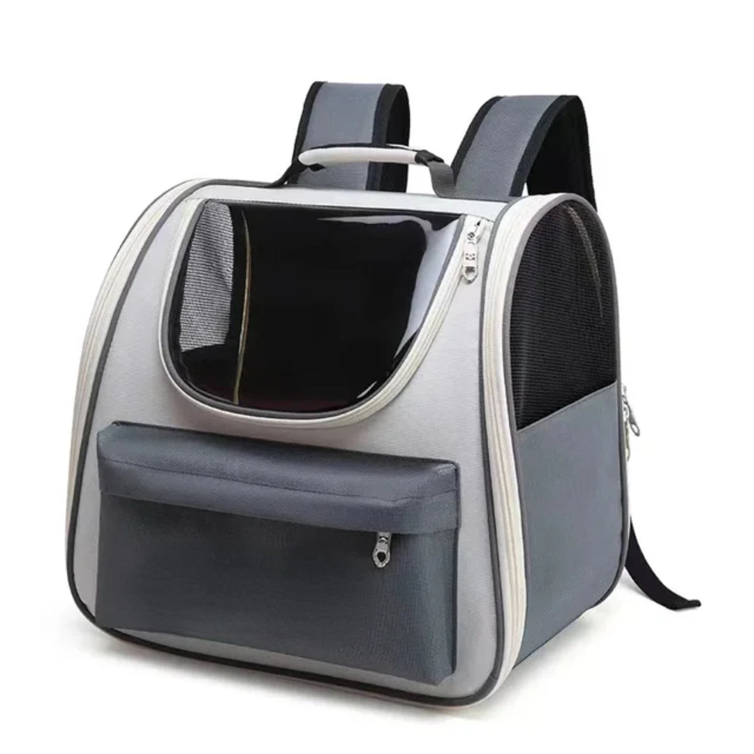 Bolsa de transporte para gatos e cães pequenos: avião, conforto, liberdade