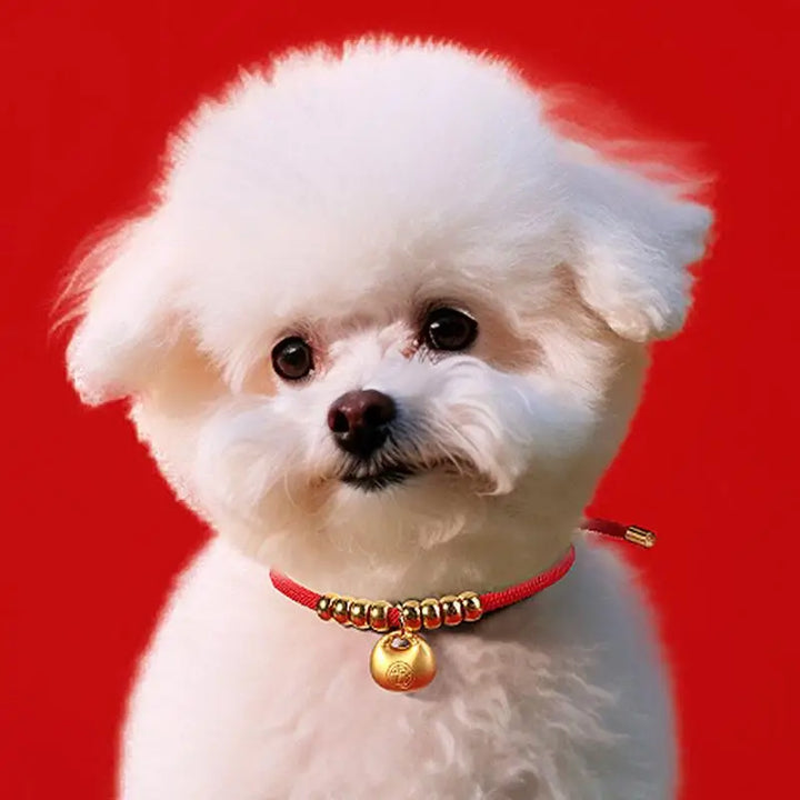 Colar de Ano Novo para cães e gatos: lingote de ouro, lembrança única, mensagem de amor