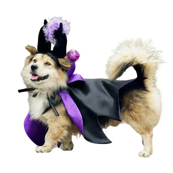 Fantasia de Halloween para cães e gatos: mágica, engraçada e cativante