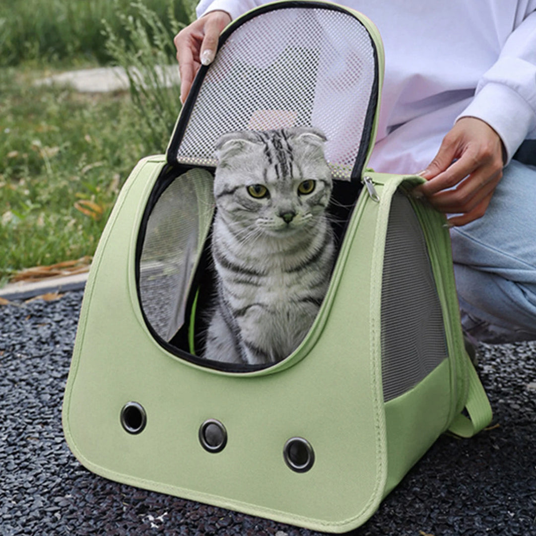Bolsa para cães e gatos: liberdade e ternura nos passeios