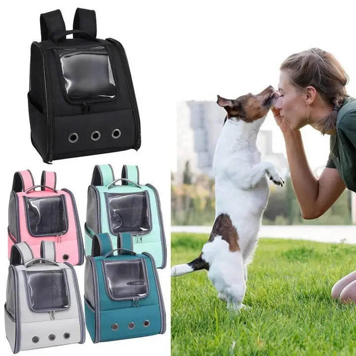 Bolsa de transporte dobrável para cães e gatos, casulo seguro e leve