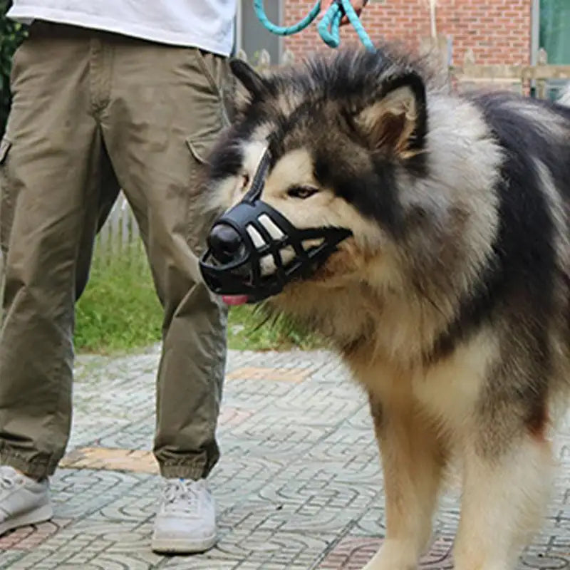 Focinho macio para cães sensíveis, amados e protegidos