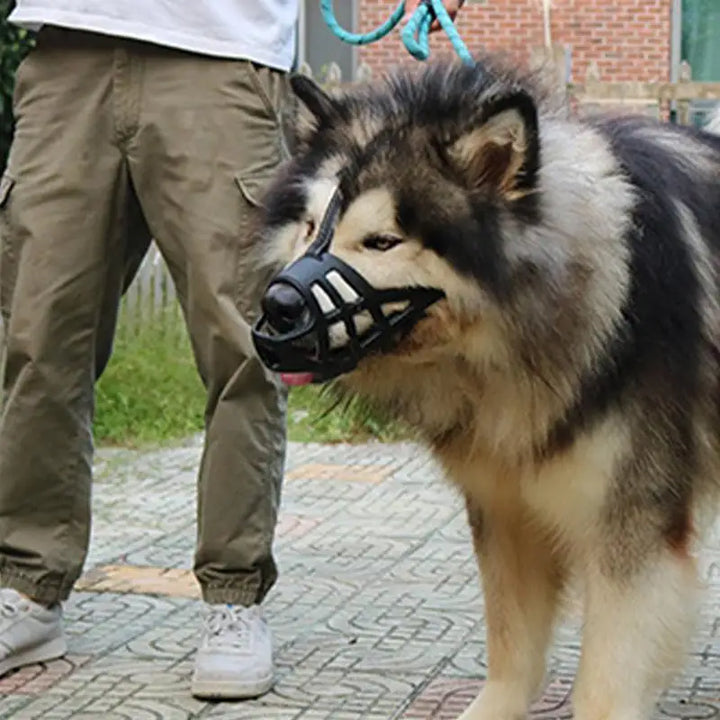 Focinho macio para cães sensíveis, amados e protegidos