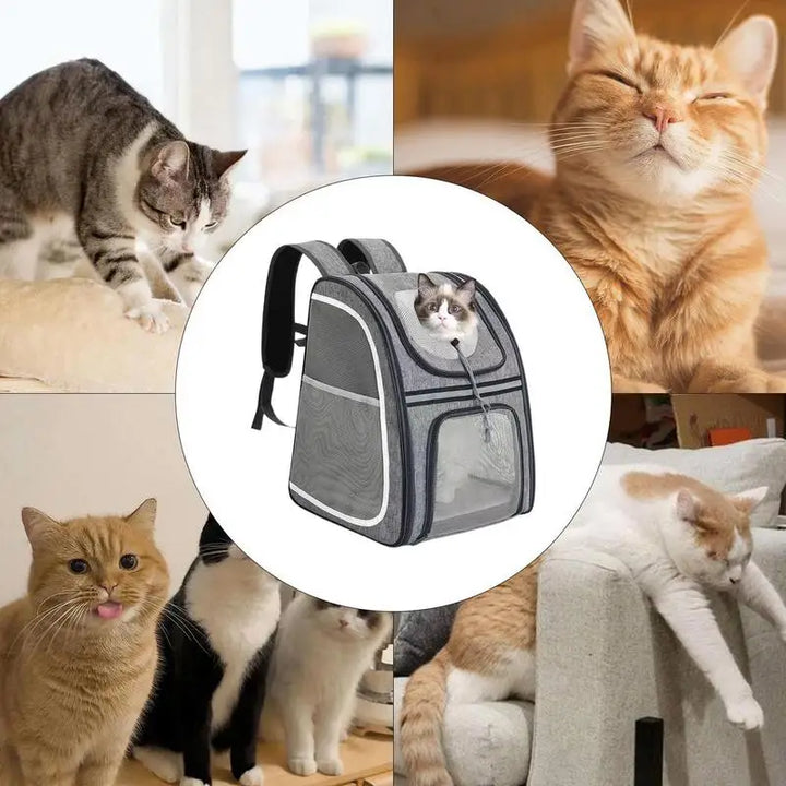 Mochila para gatos e cães pequenos: confortável, dobrável e sempre pronta para levar