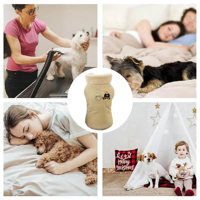 Pelagem macia e quente para cães pequenos e elegantes