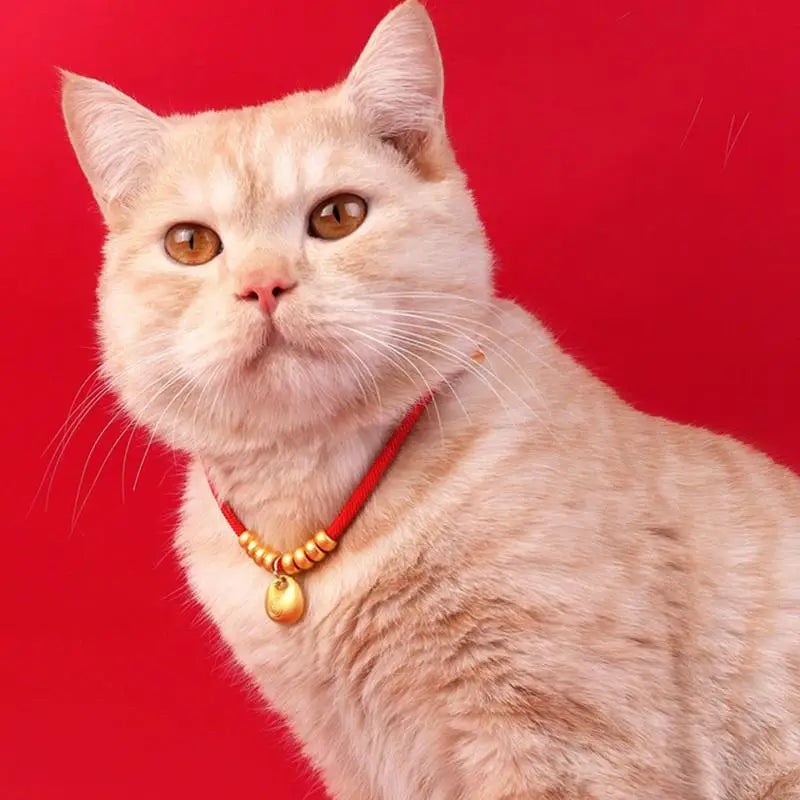 Colar de Ano Novo para cães e gatos: lingote de ouro, lembrança única, mensagem de amor