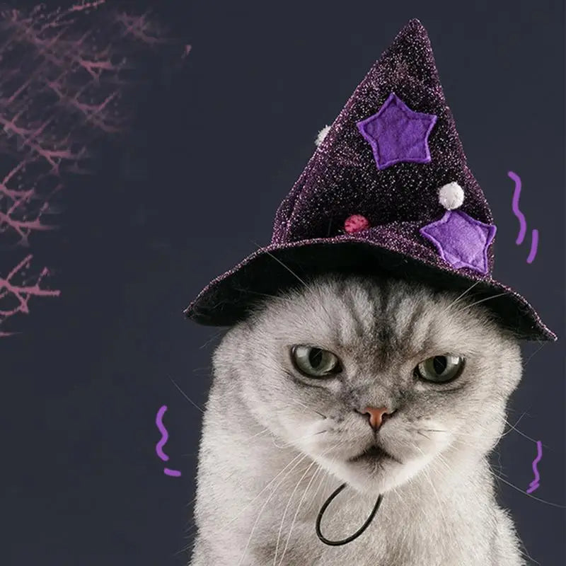 Fantasia de Bruxa para Cachorro e Gato: Leve, Brilhante e Irresistível