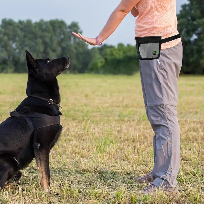 Saco de petiscos para cães: treine melhor e reaja rápido