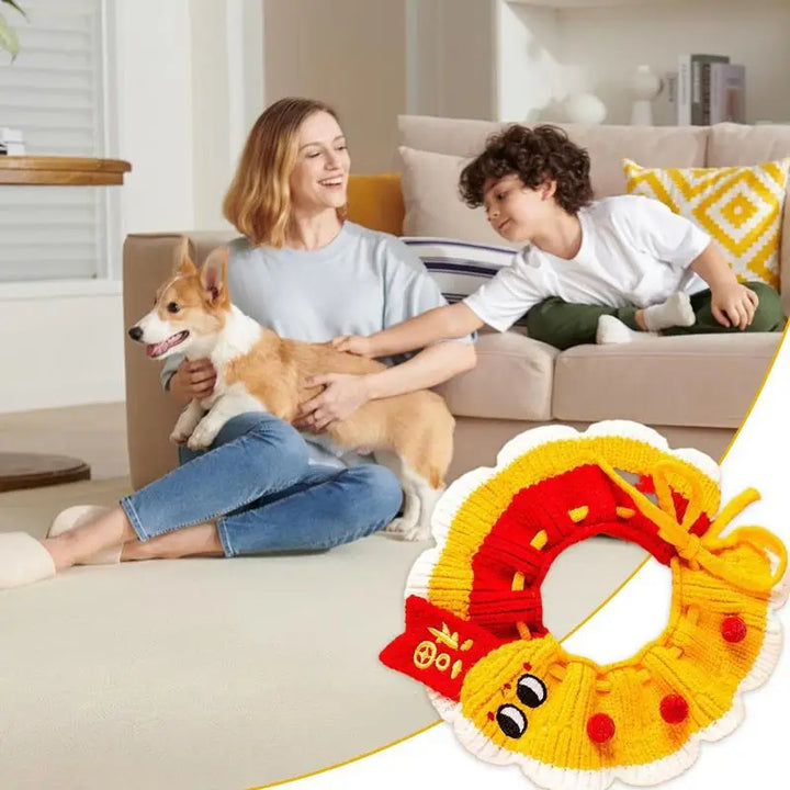Coleira de malha para cães e gatos: um acessório macio e amigável para usar com orgulho
