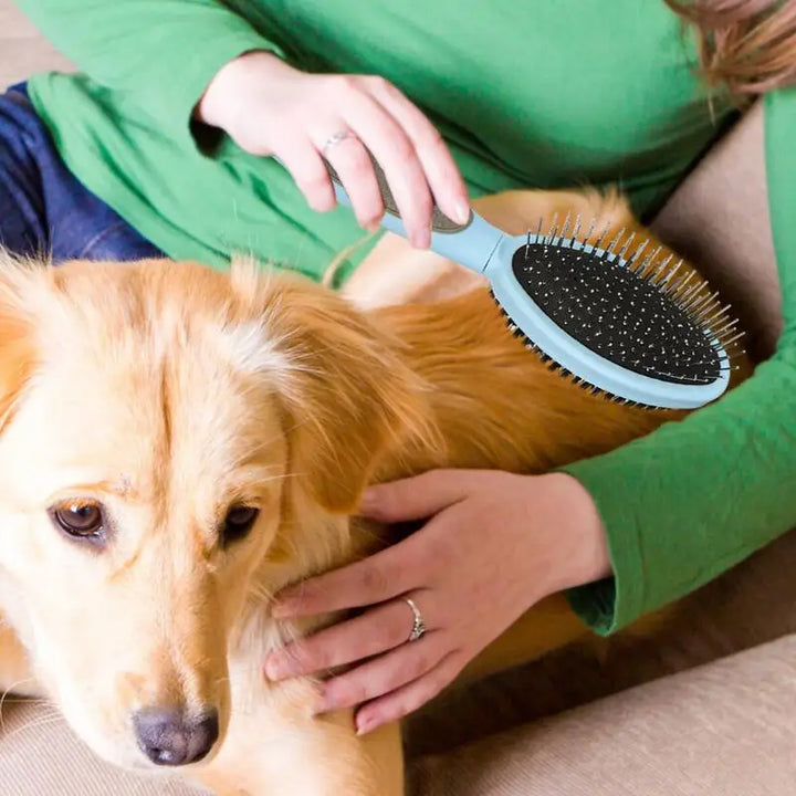 Escova para tosa de cães e gatos: maciez, cumplicidade e sem embaraços