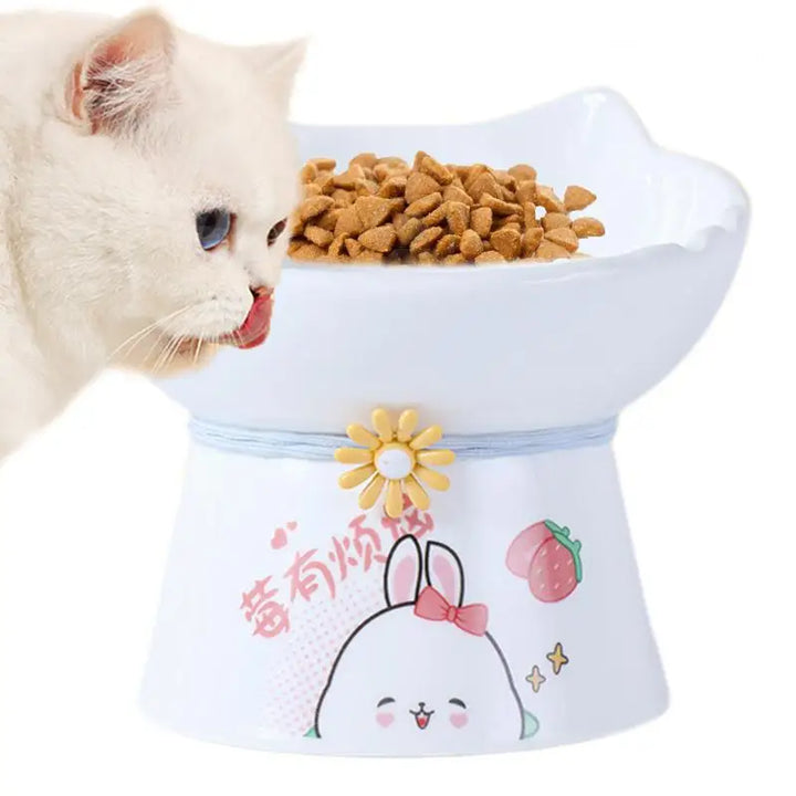 Tigela elevada para gatos – Alimentação sem dor todos os dias