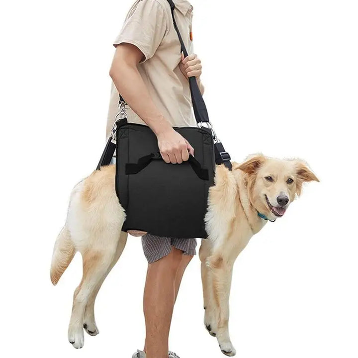 Arnês de suporte para cães: caminhando novamente, juntos
