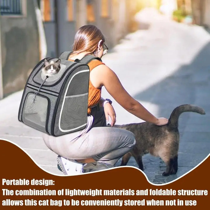 Mochila para gatos e cães pequenos: confortável, dobrável e sempre pronta para levar