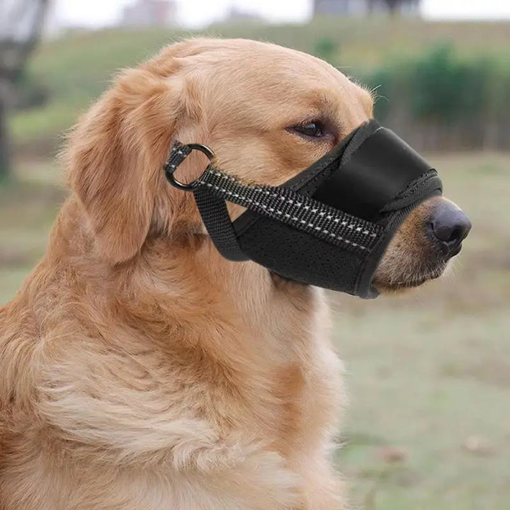 Focinheira para cães grandes: proteja sem intimidar, emoldure com amor