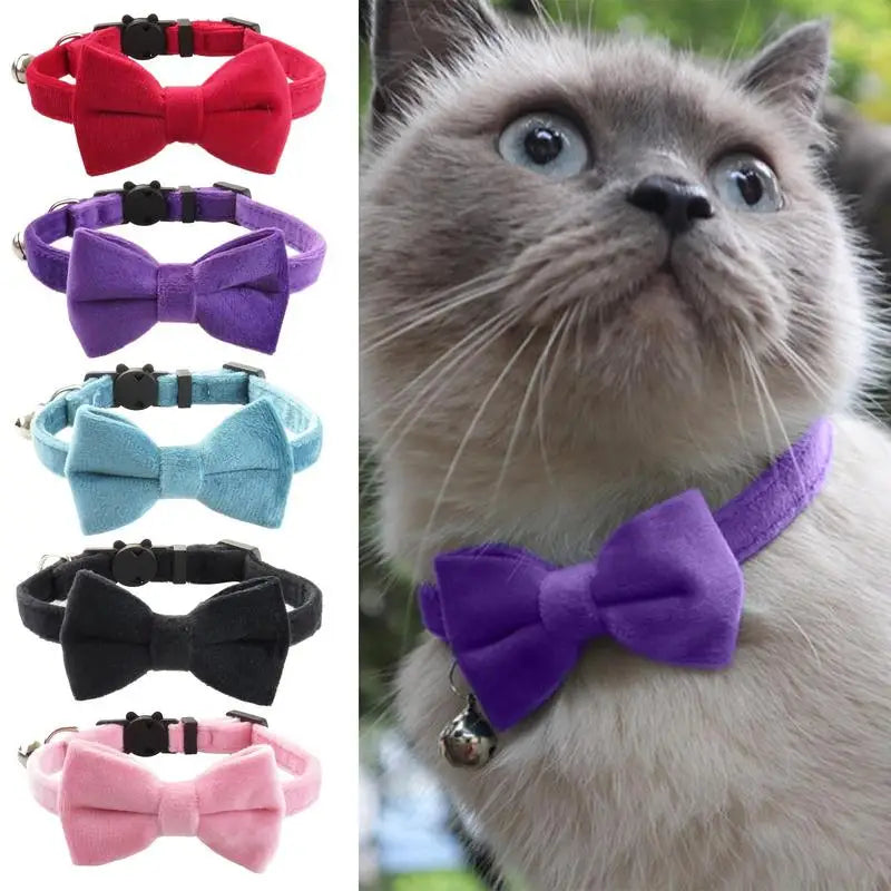 Coleira de gravata borboleta para cães e gatos: elegância discreta, amor visível, memórias preciosas
