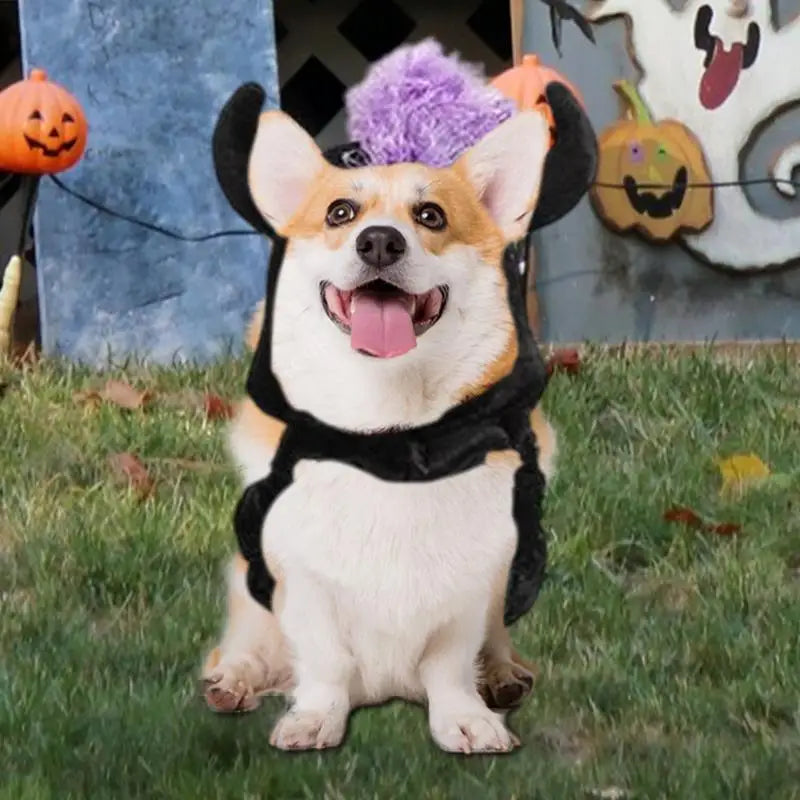 Fantasia de Halloween para cães e gatos: mágica, engraçada e cativante