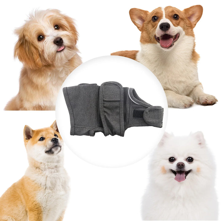 Um abraço contínuo para cães ansiosos ou estressados