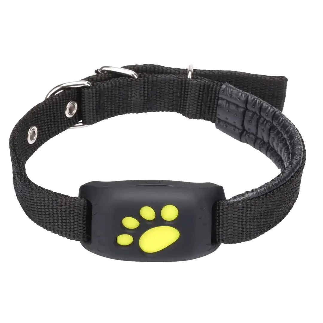 Coleira GPS para cães e gatos – Nunca mais os perca de vista