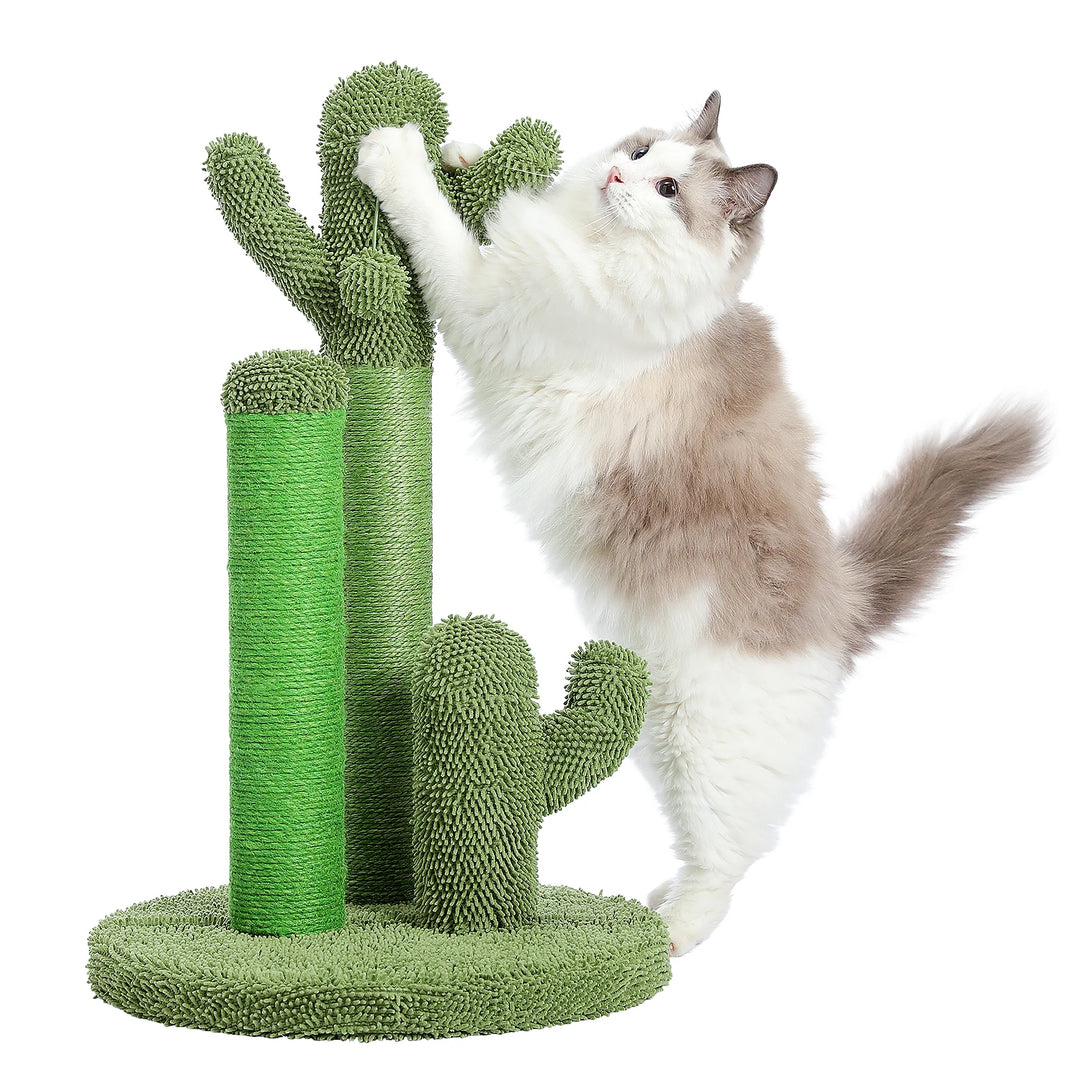 Arranhador de gato em forma de cacto que canaliza instinto com estilo
