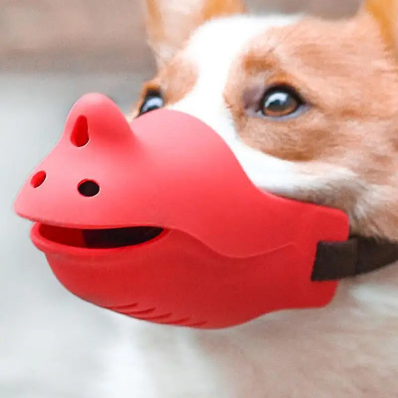 Focinho macio para cães amados e respeitados