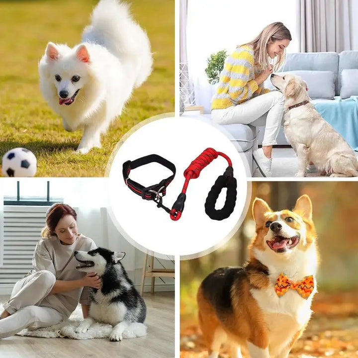 Coleira refletiva para cães – Para passeios mesmo na sombra