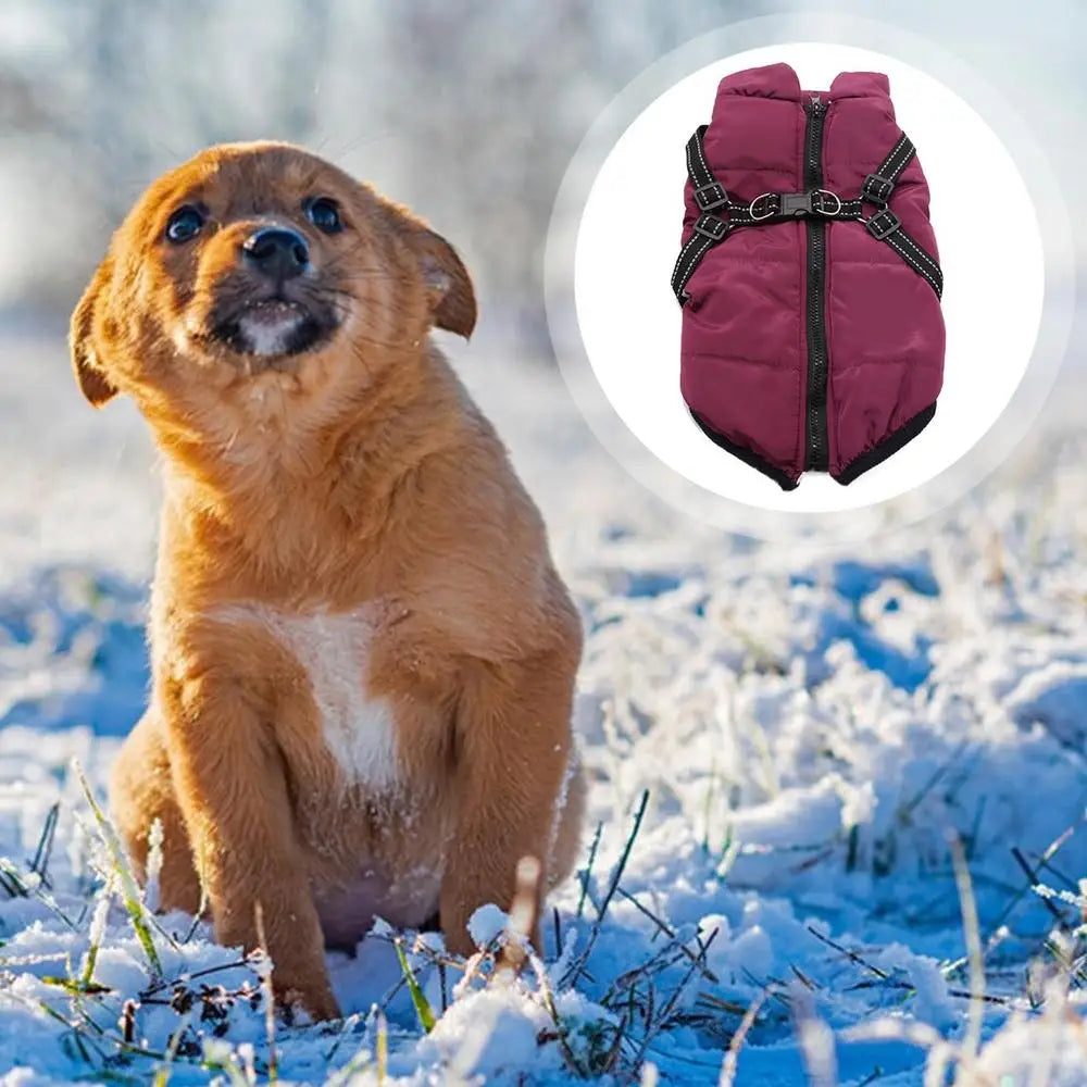 Casaco quente com arnês integrado – Inverno tranquilo para o seu cão