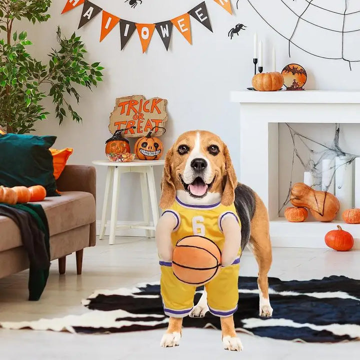 Fantasia de jogador de basquete para cães: transforme seu cão em uma estrela da sala de estar