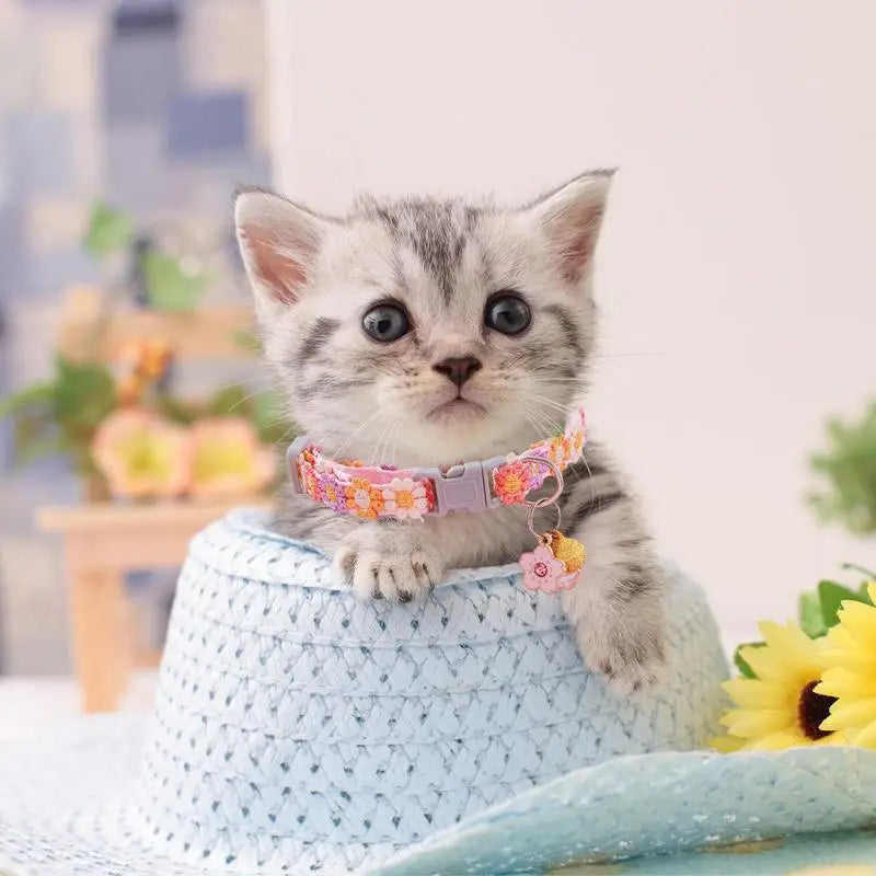 Colar de gatinho fofo – Para pequenos corações de quatro patas