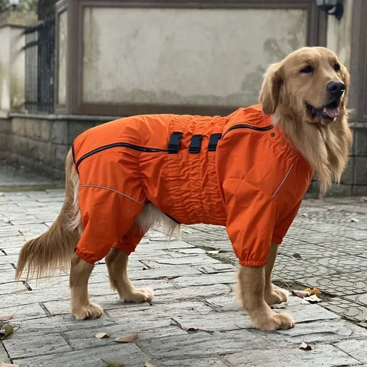 Capa de chuva 4-Paw para cães – Conforto, estilo e proteção
