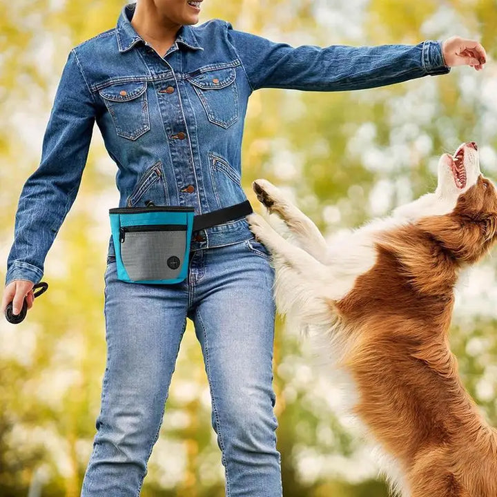 Saco de petiscos para cães: treine melhor e reaja rápido