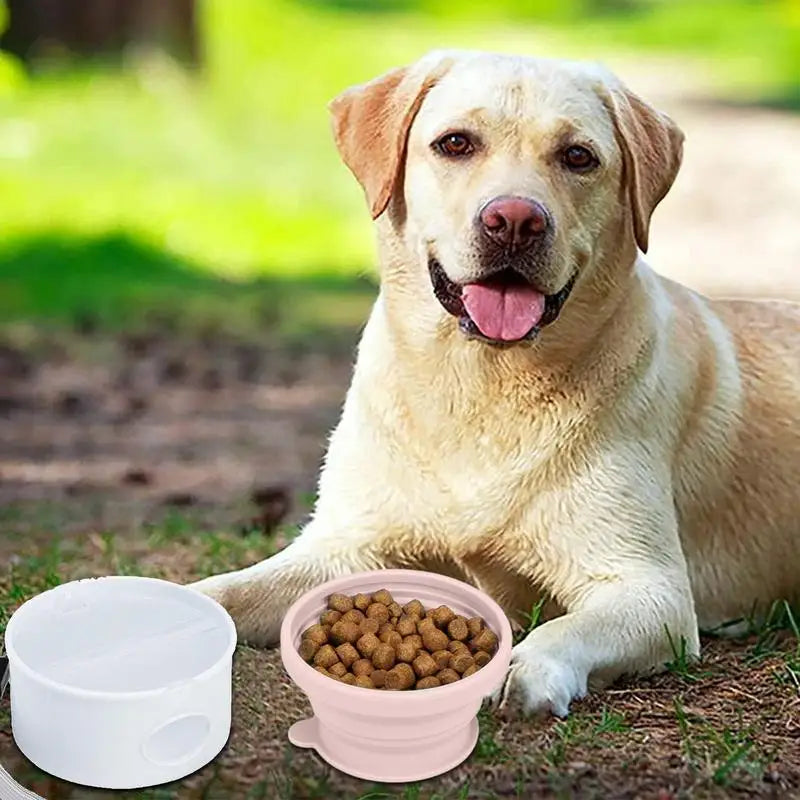 Tigela para cachorro 3 em 1 – compacta, limpa e sempre pronta