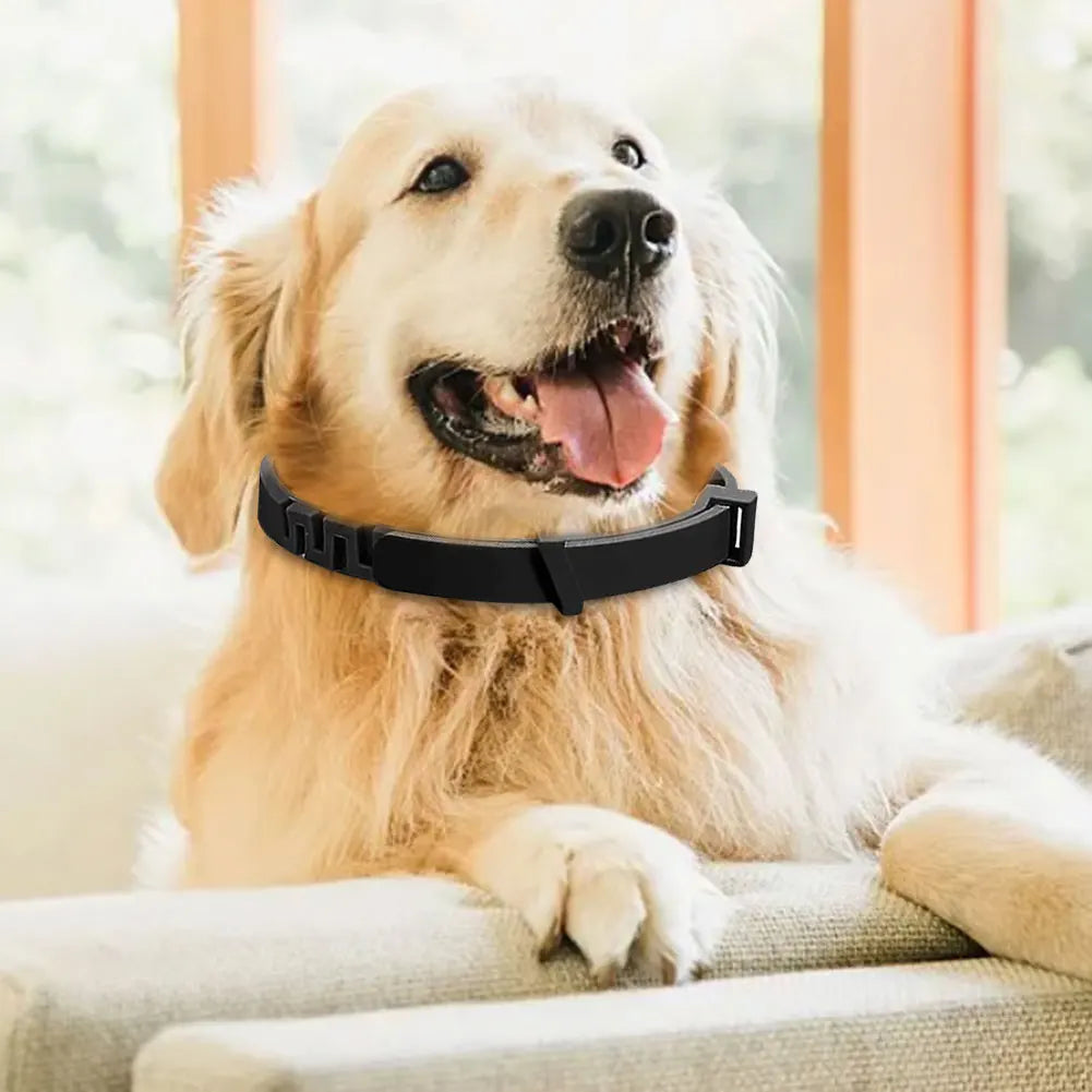 Coleira calmante para cães e gatos: a calma retorna sem dizer uma palavra