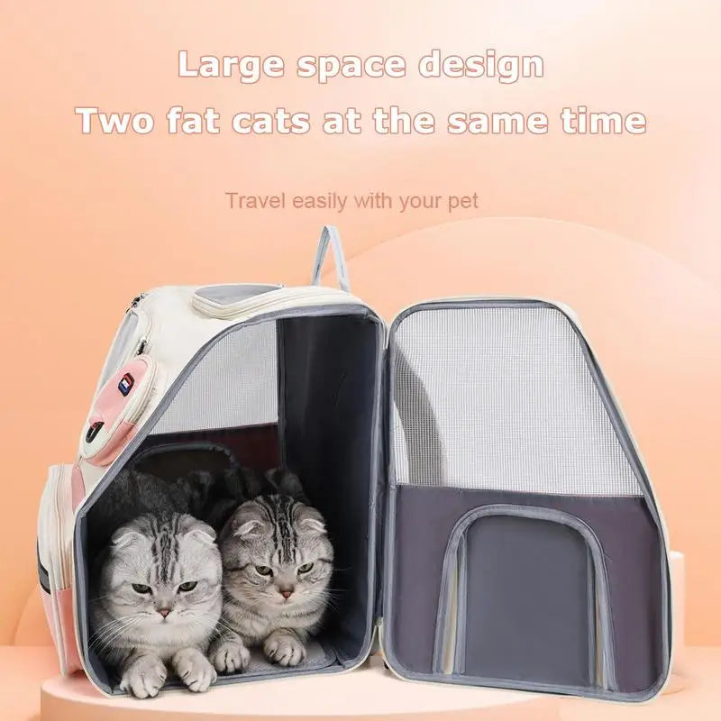 Mochila para transporte de cães e gatos: fluida, confortável e pensada para as suas viagens a dois