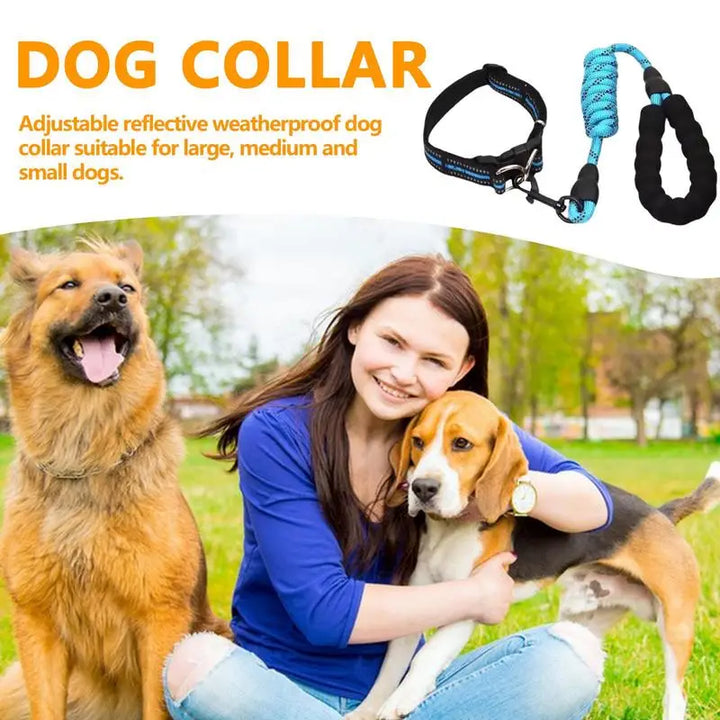 Coleira refletiva para cães – Para passeios mesmo na sombra