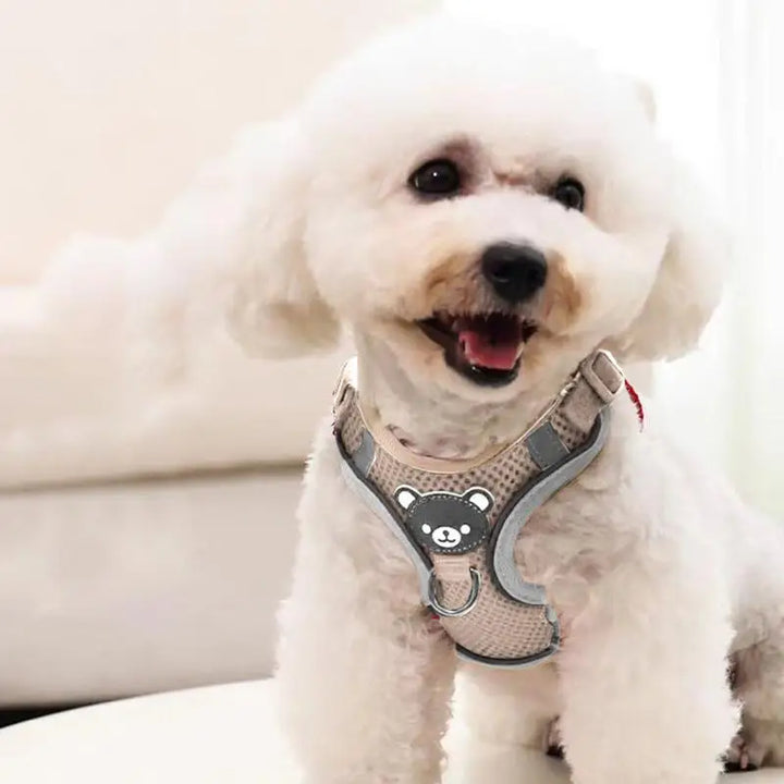 Arnês luminoso para cães e gatos, visível à noite sem stress