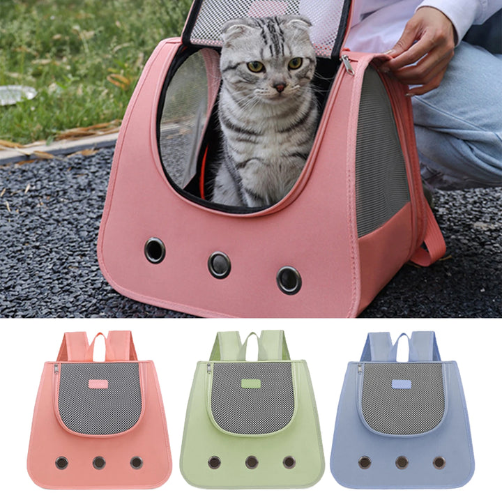 Bolsa para cães e gatos: liberdade e ternura nos passeios