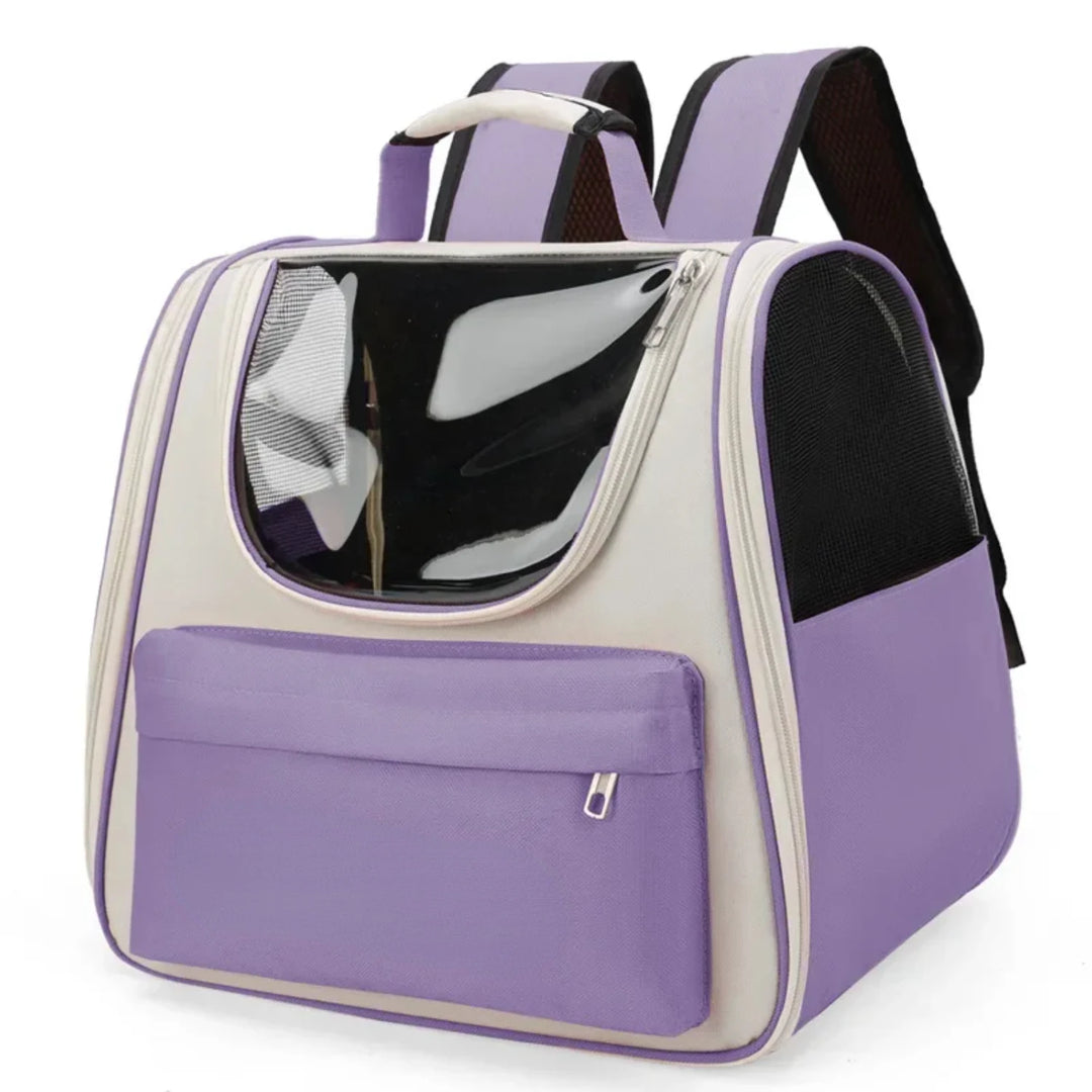 Bolsa de transporte para gatos e cães pequenos: avião, conforto, liberdade