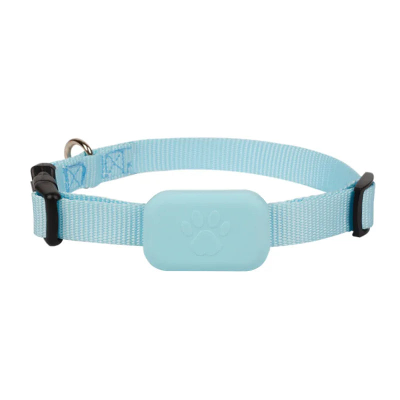 Coleira GPS para cães e gatos: visível, localizável e sempre encontrável