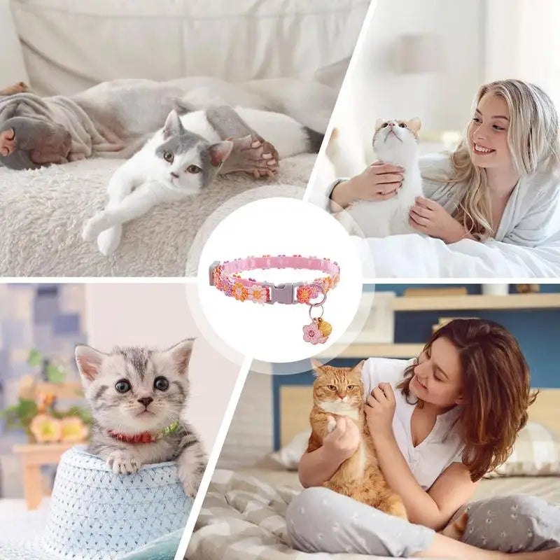 Colar de gatinho fofo – Para pequenos corações de quatro patas