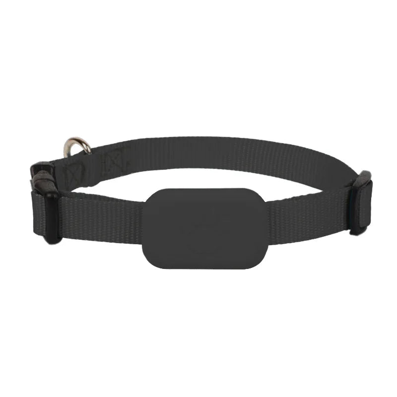 Coleira GPS para cães e gatos: visível, localizável e sempre encontrável