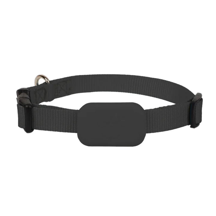 Coleira GPS para cães e gatos: visível, localizável e sempre encontrável