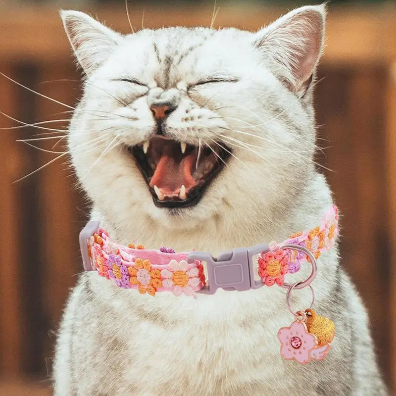 Colar de gatinho floral: ternura, estilo e cumplicidade