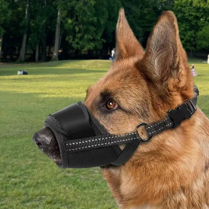 Focinheira para cães grandes: proteja sem intimidar, emoldure com amor